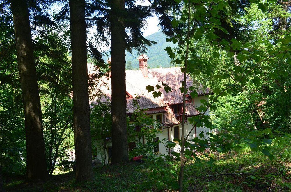 Vila Arizto Сіная Екстер'єр фото